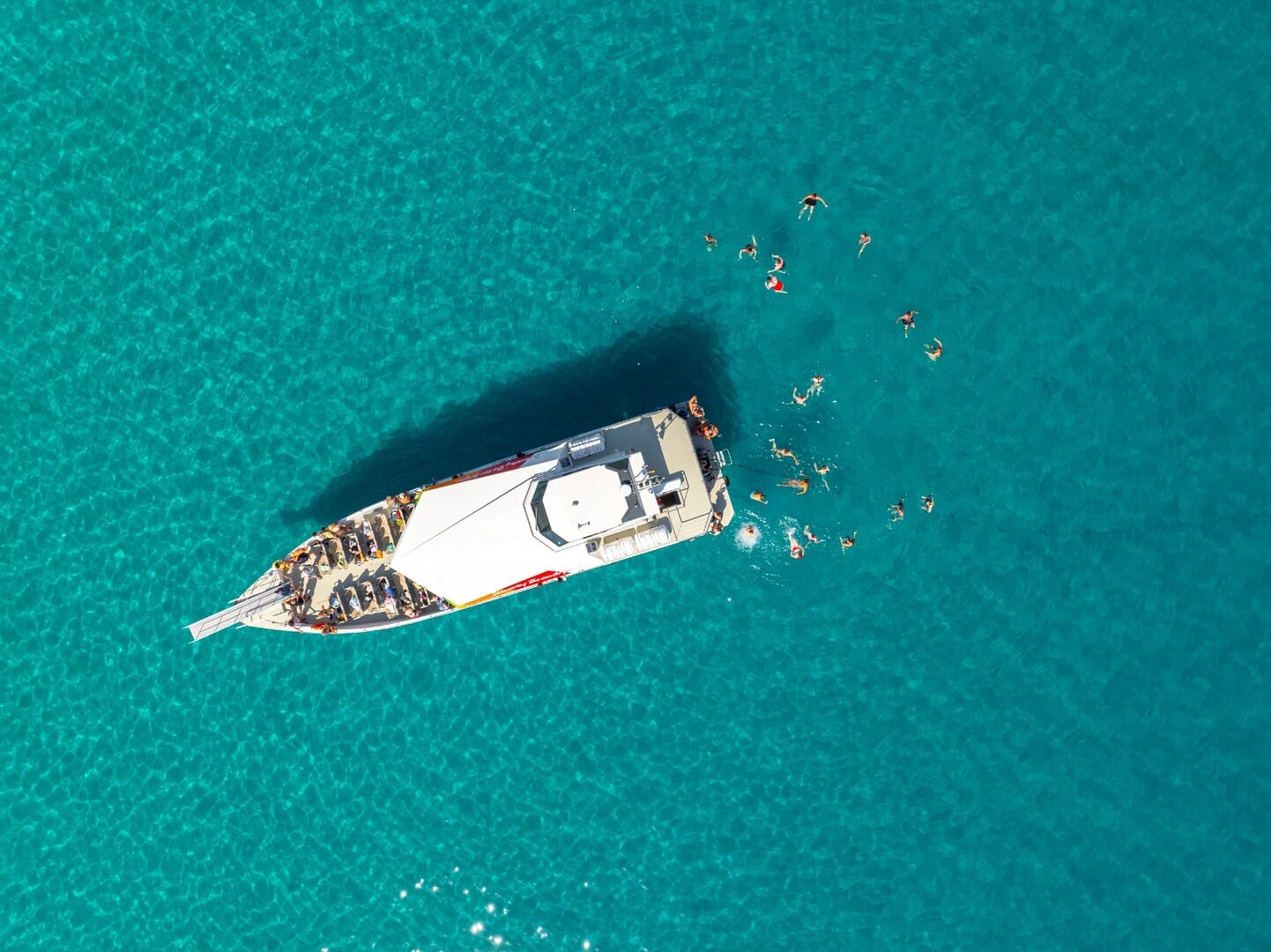 Boot Delfinbeobachtung