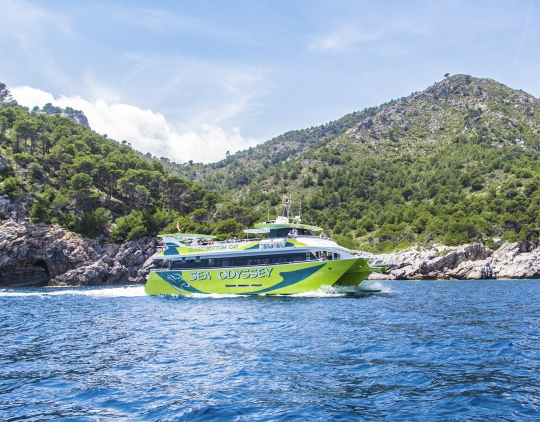 Blick auf die Kiefernwälder