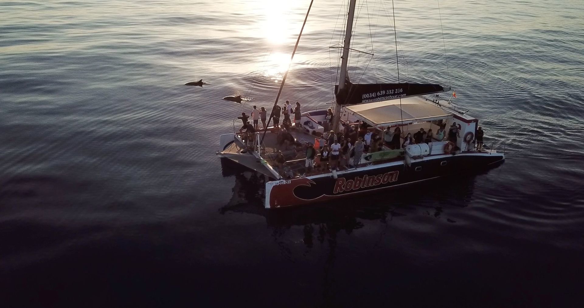 delfin tour mallorca