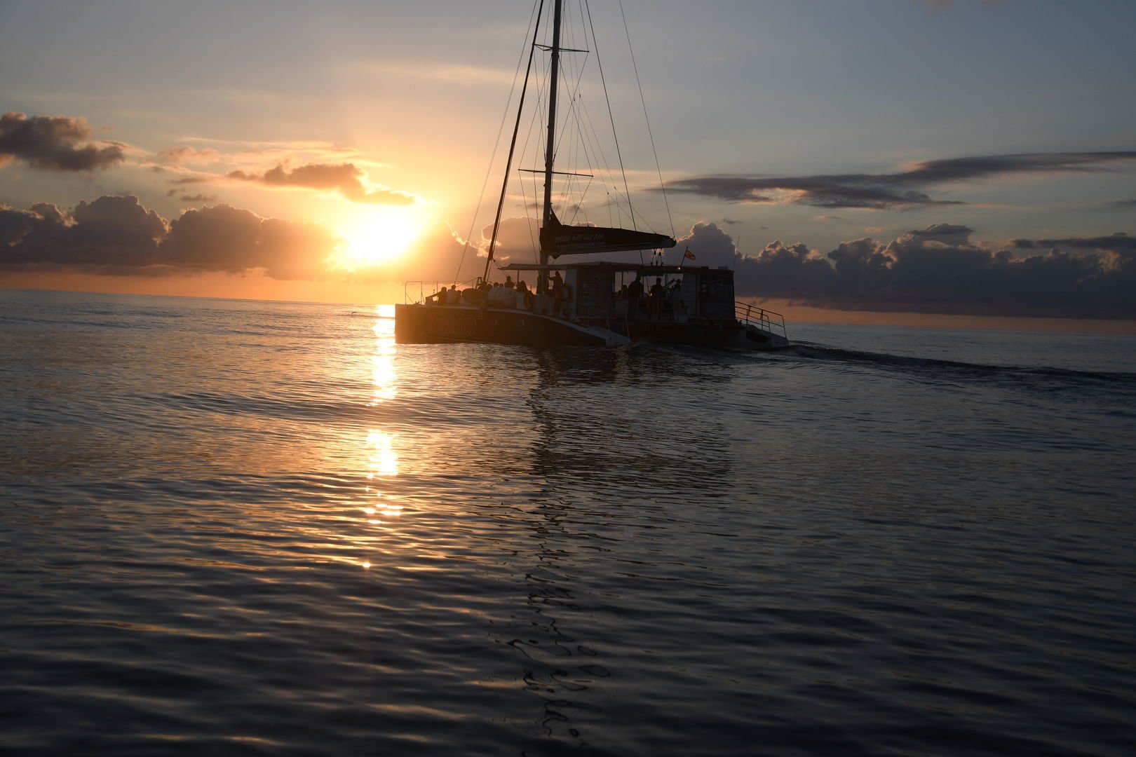 Sonnenaufgang auf Mallorca mit Delfine