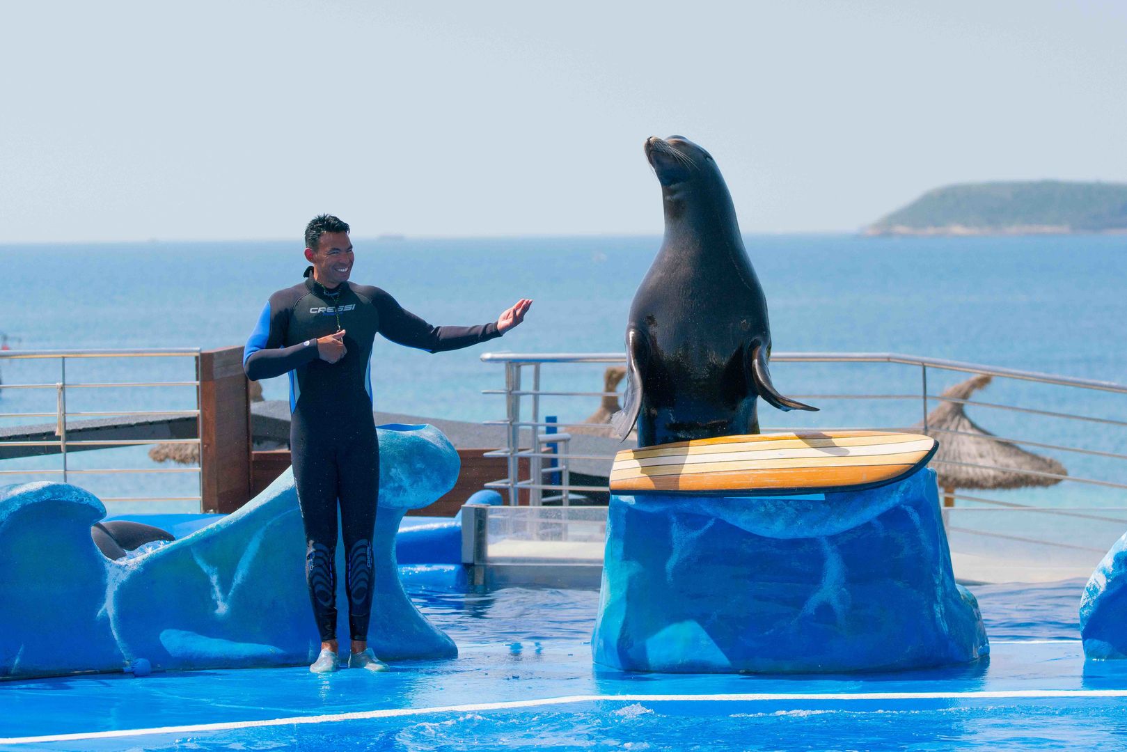 die robbe show in marineland