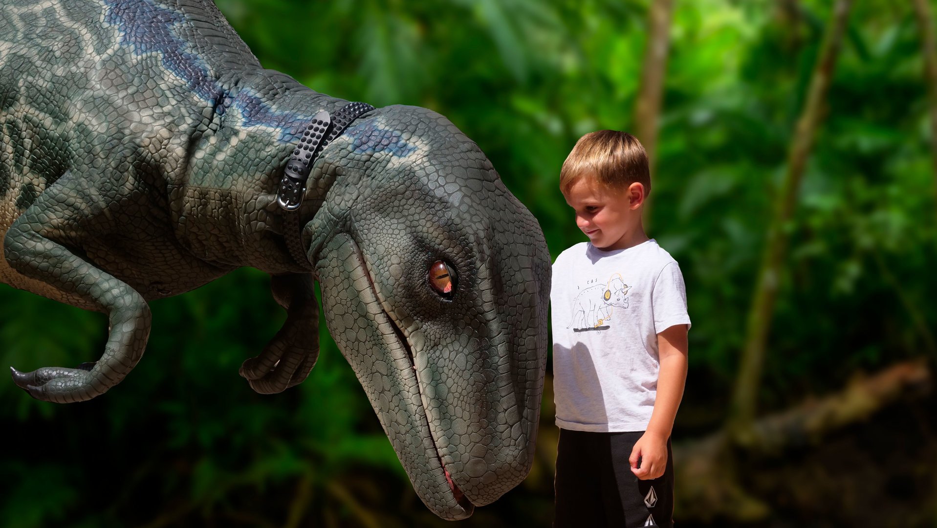 Junge sieht sich Dinosaurier an