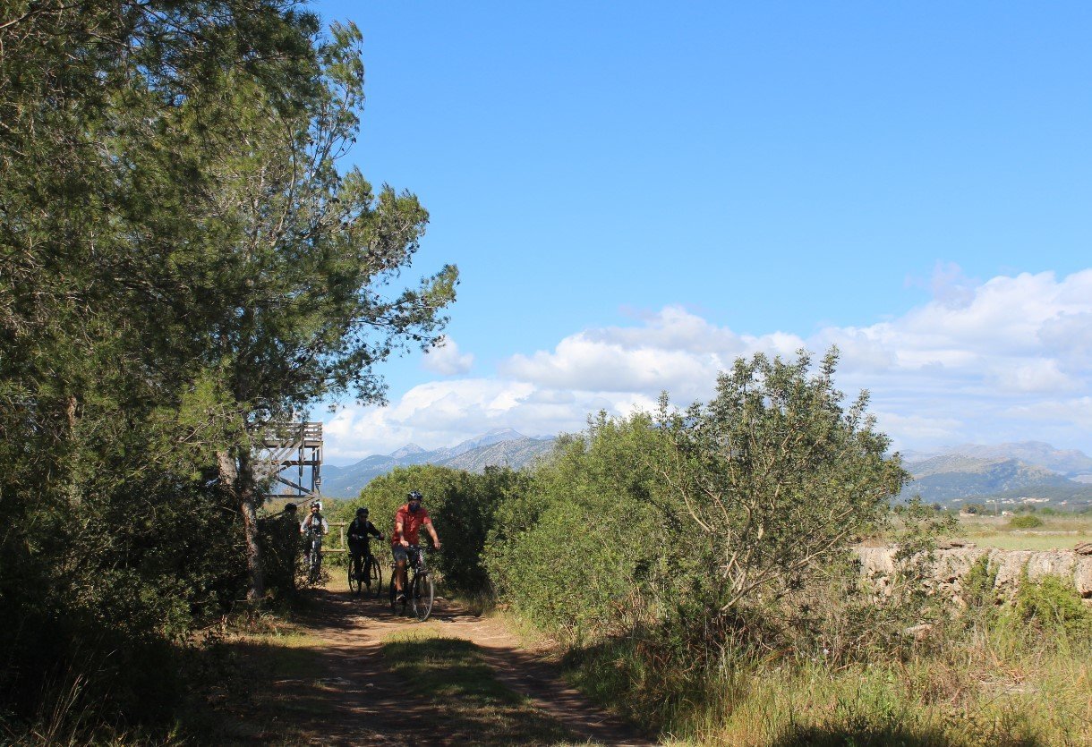 Radfahren in Alcudia