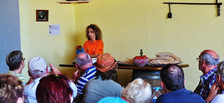 Aktivitäten auf Mallorca