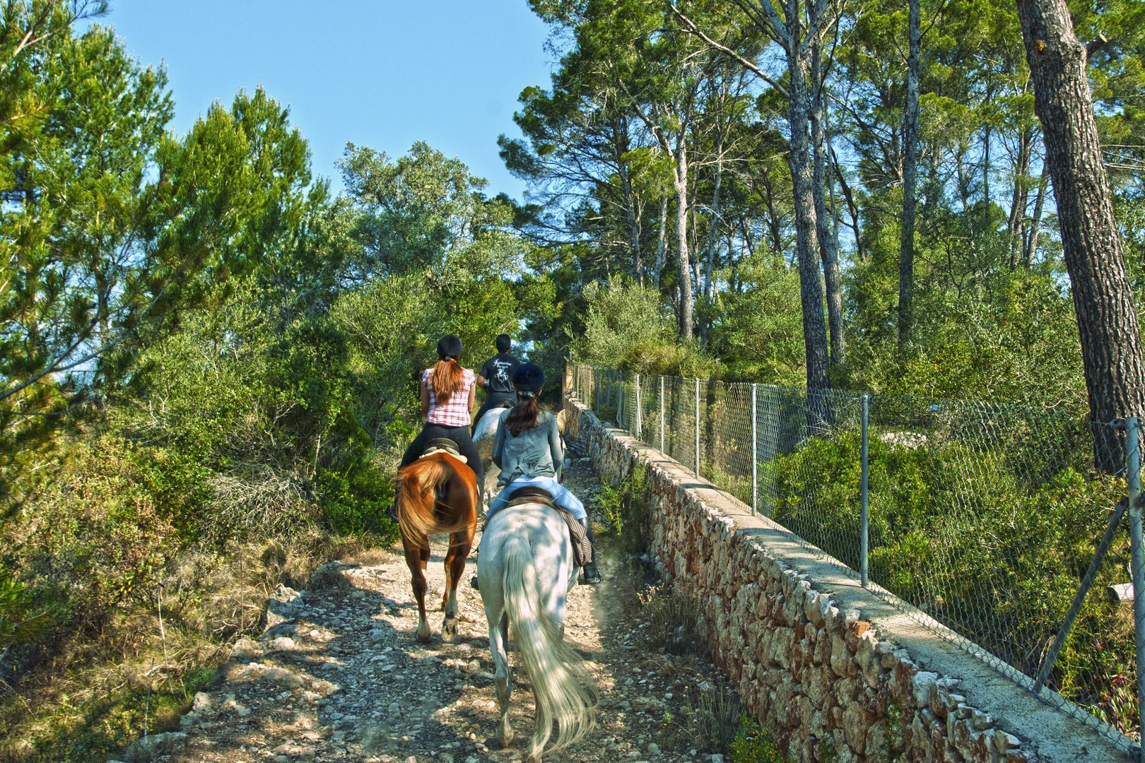 Reiten auf Mallorca