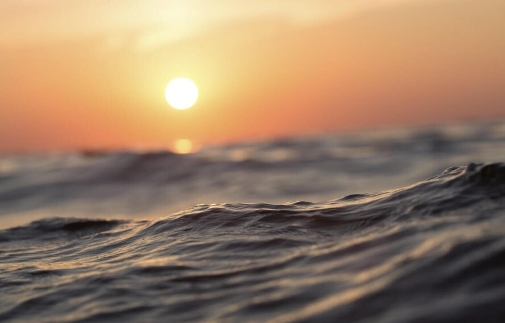 Sonne über dem Mittelmeer während einer Delfinbeobachtungs-Tour in Palma de Mallorca