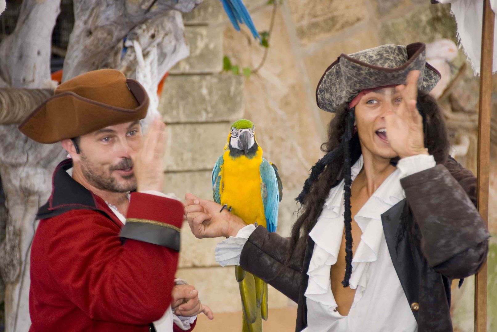 Papageien Show