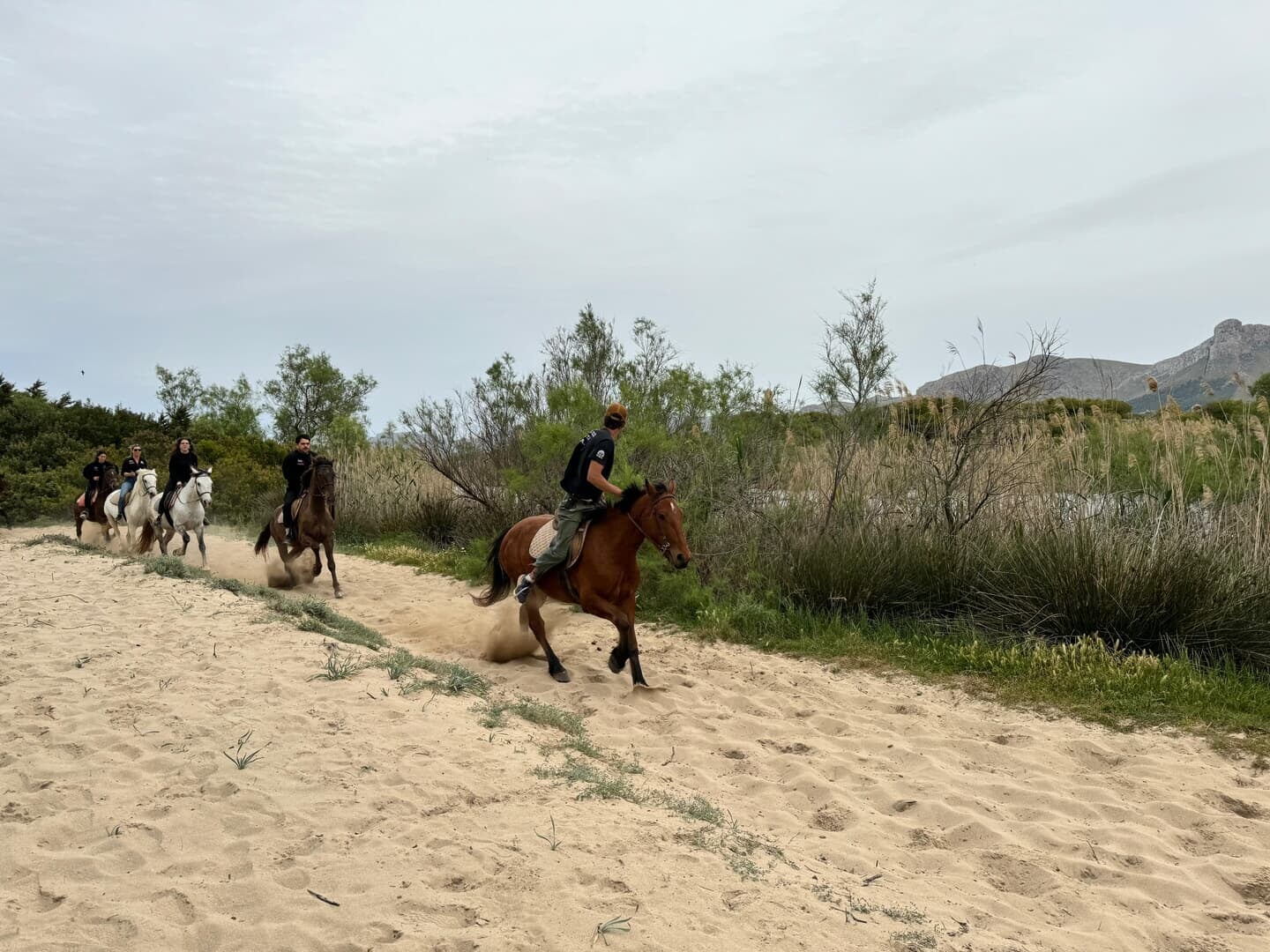 Strand in Son Serra de Marina