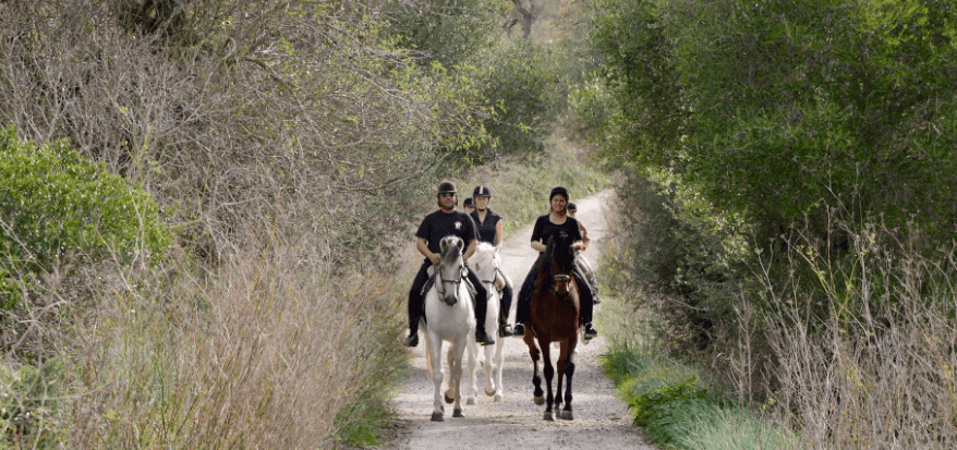 Reiten in Randa Mallorca