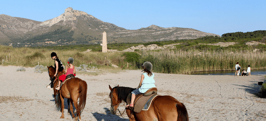 am Strand mit Pferde