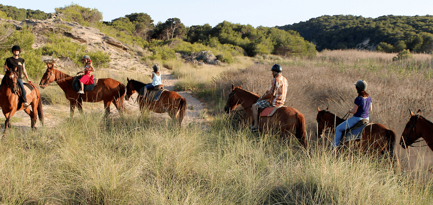 reiten auf mallorca am strand entlang