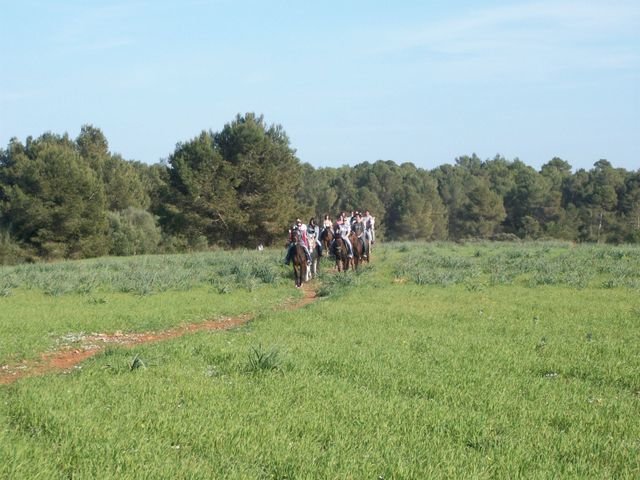 Tour Reiten im Pinienwald