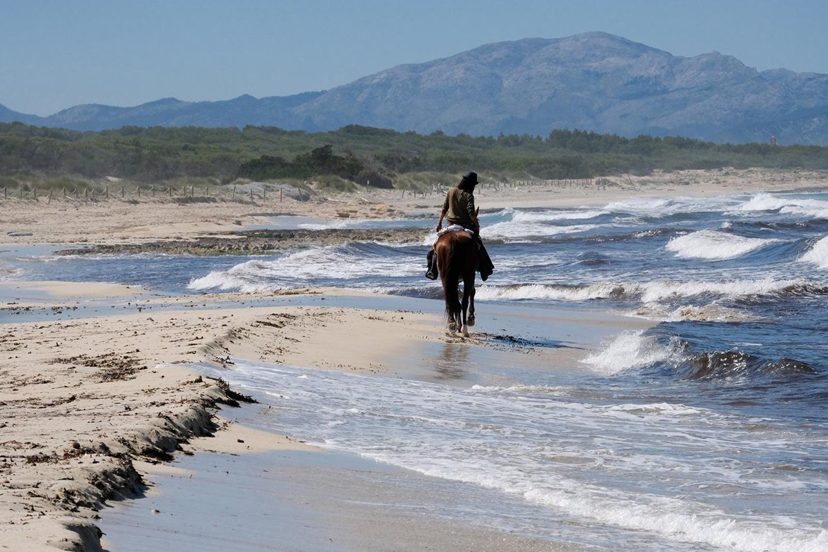 route reiten auf mallorca am strand