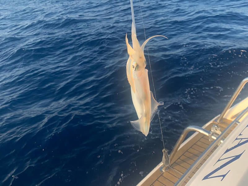 fischfang auf mallorca