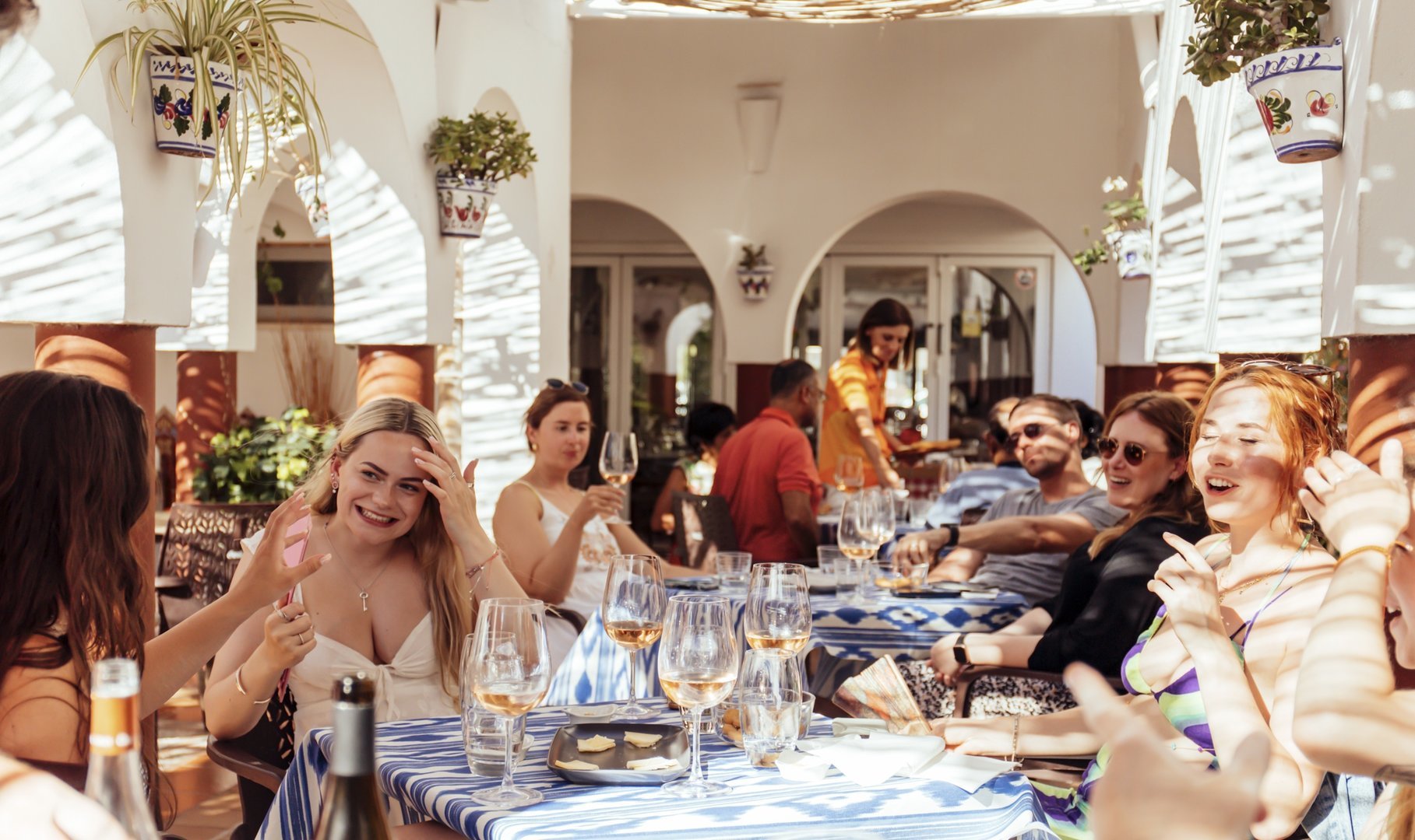 Erläuterung der Merkmale der Weine