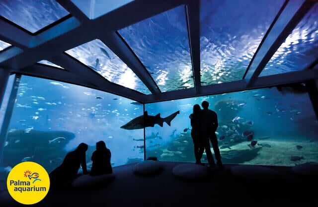 Ausflüge und Sehenswürdigkeiten - Tickets für Palma Aquarium mit Rabatt