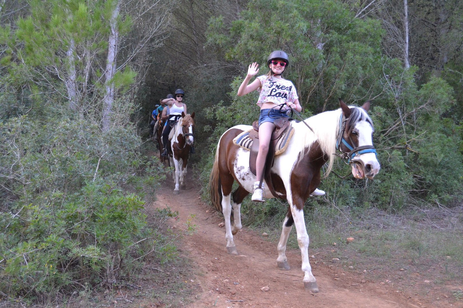 excursion en caballos por rutas en el bosque