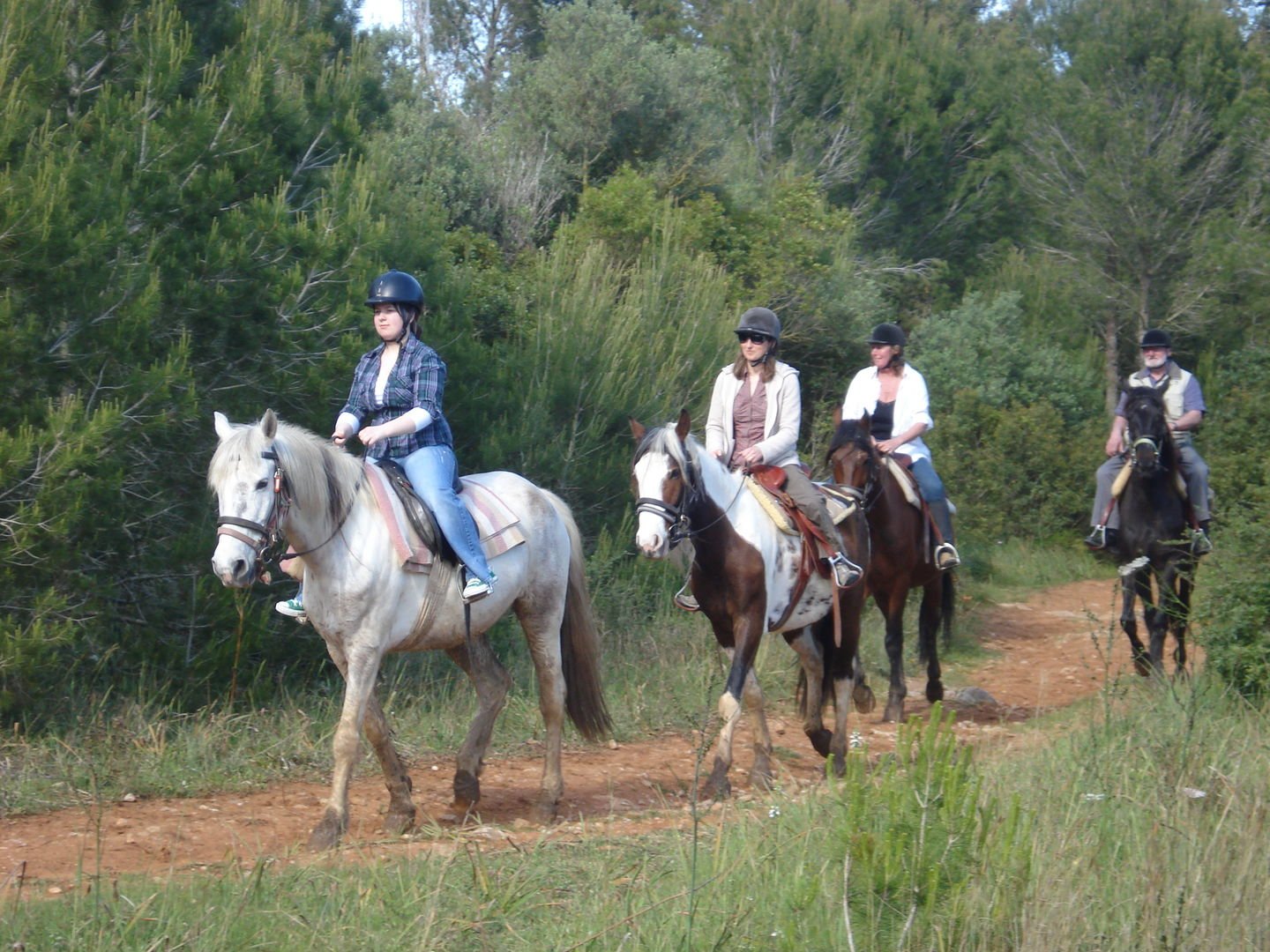 cosas que hacer en mallorca: montar a caballo