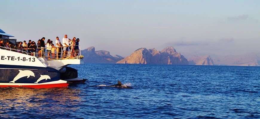delfines y amanecer