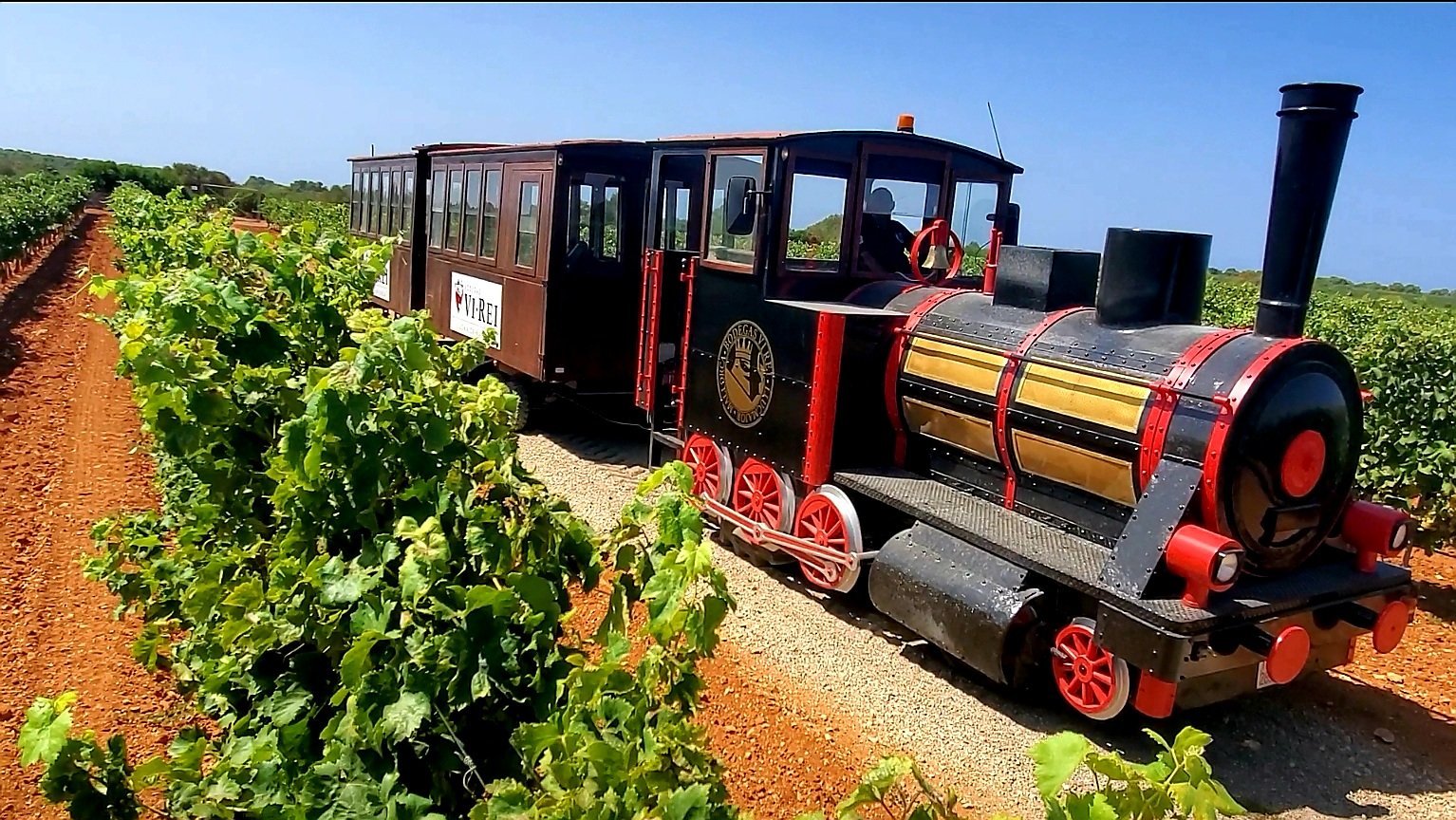 tren de la bodega