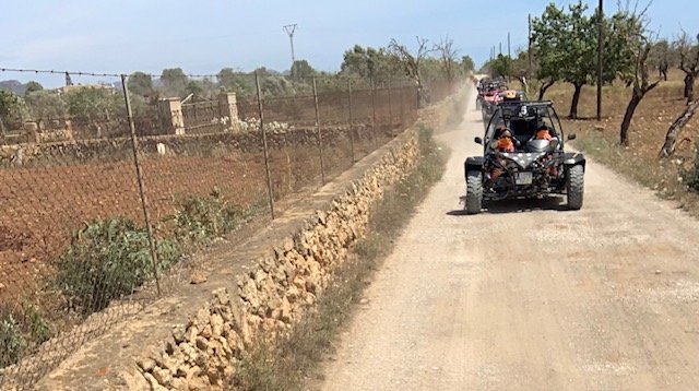 Parada en un mirador durante el tour