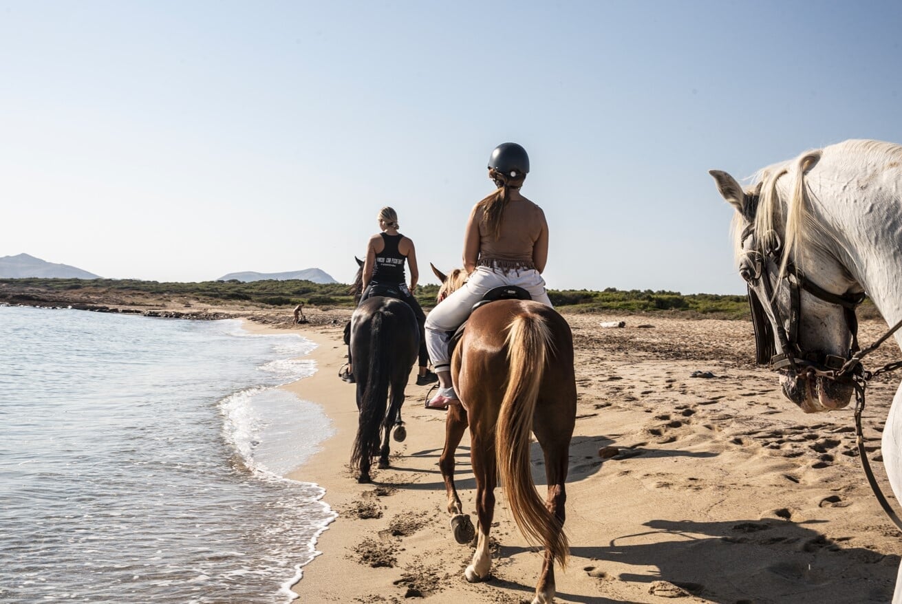 Detalle de los caballos caminando sobre la arena junto al mar durante una excursión a caballo en la playa