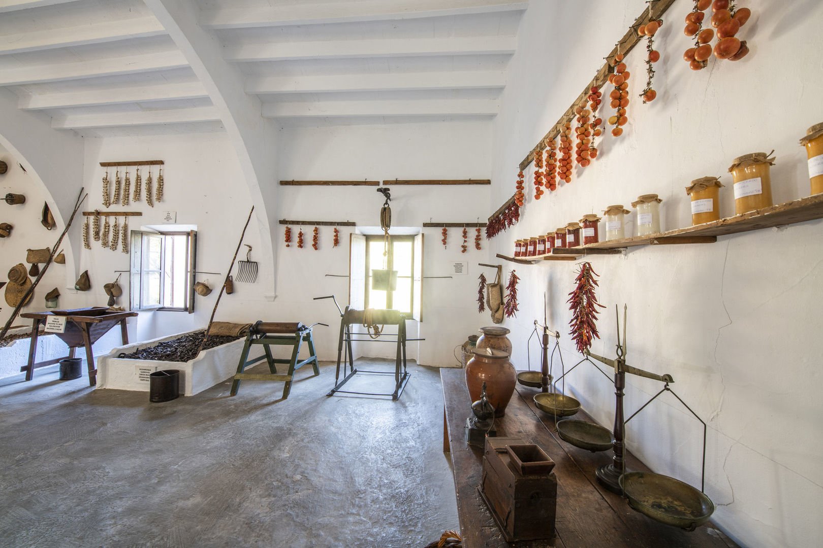 que hacer en mallorca