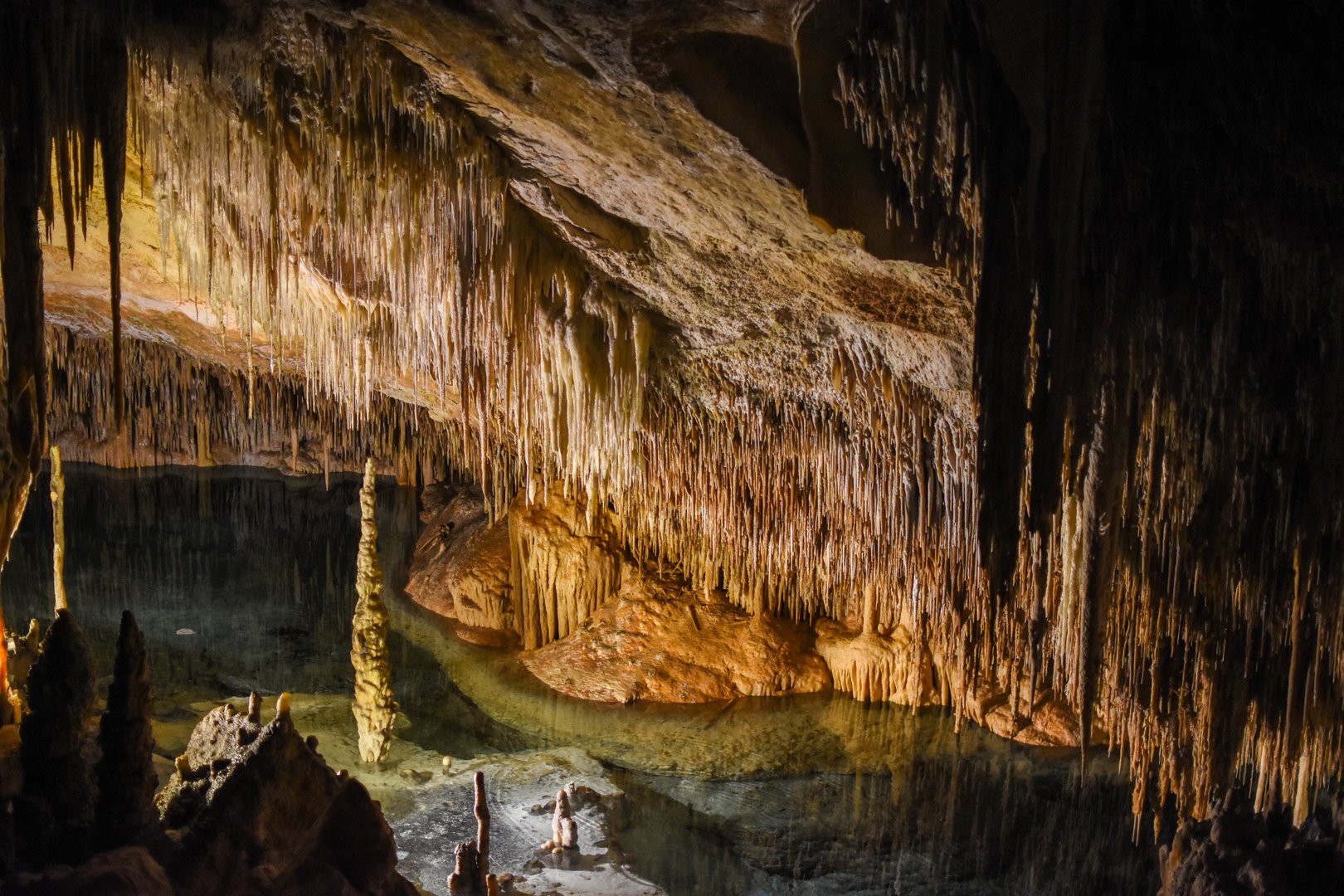 tours en mallorca