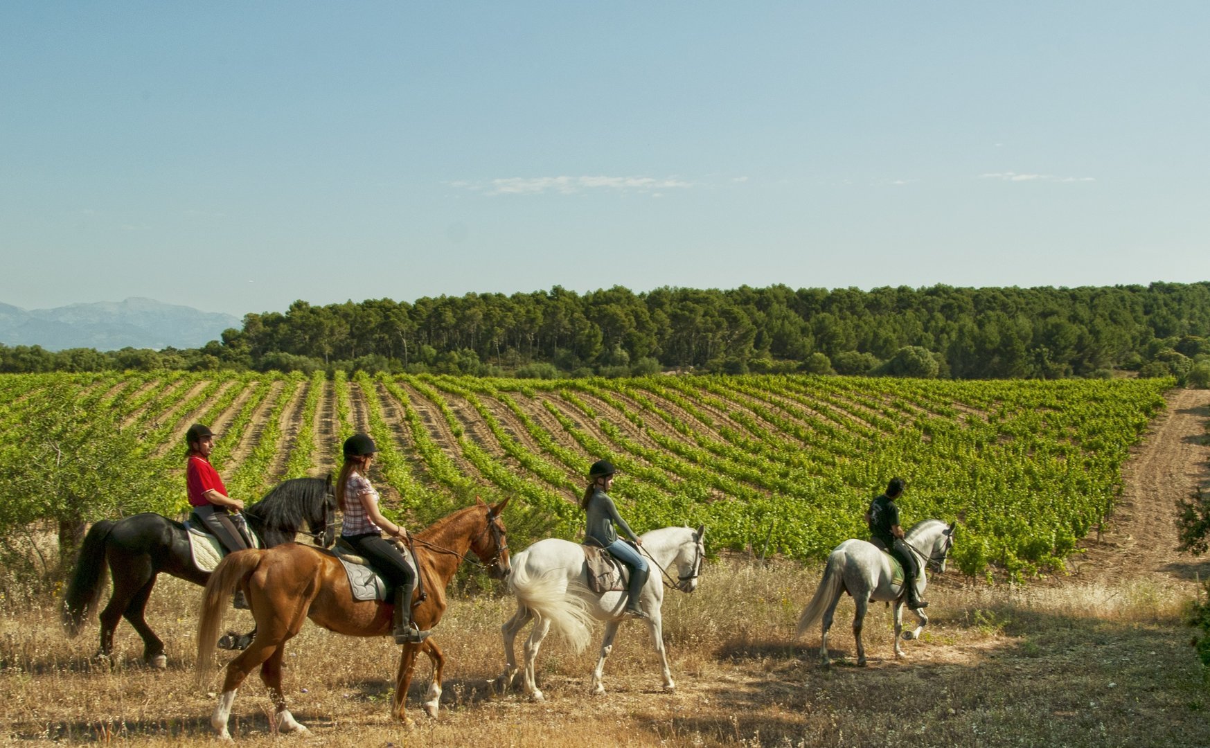 Excursión a caballo por Mallorca
