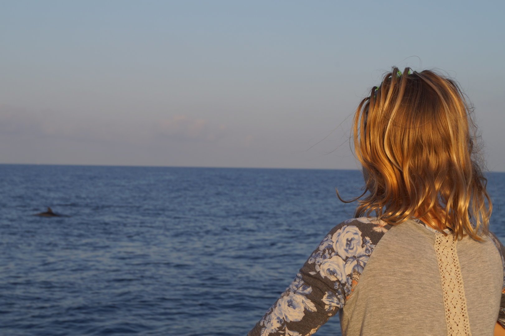 excursion delfines en mallorca