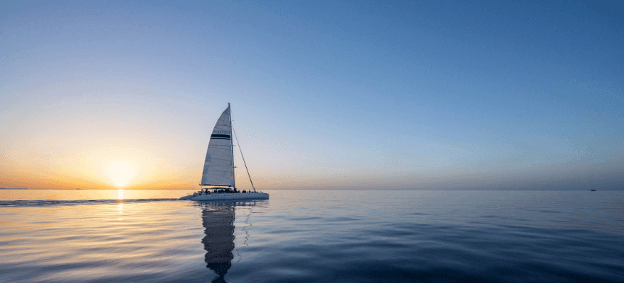 delfines cerca del catamaran