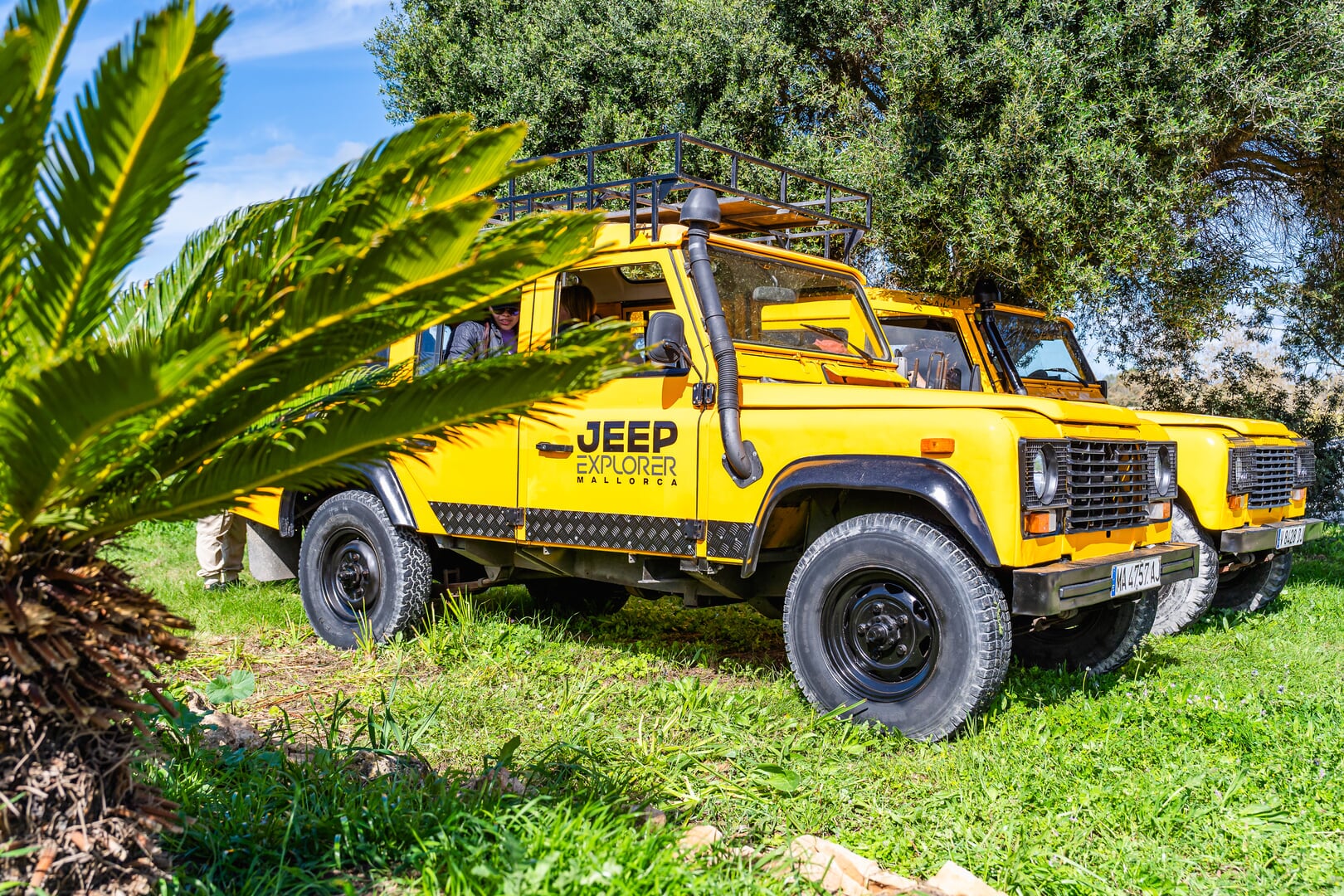 jeeps aparcarmiento