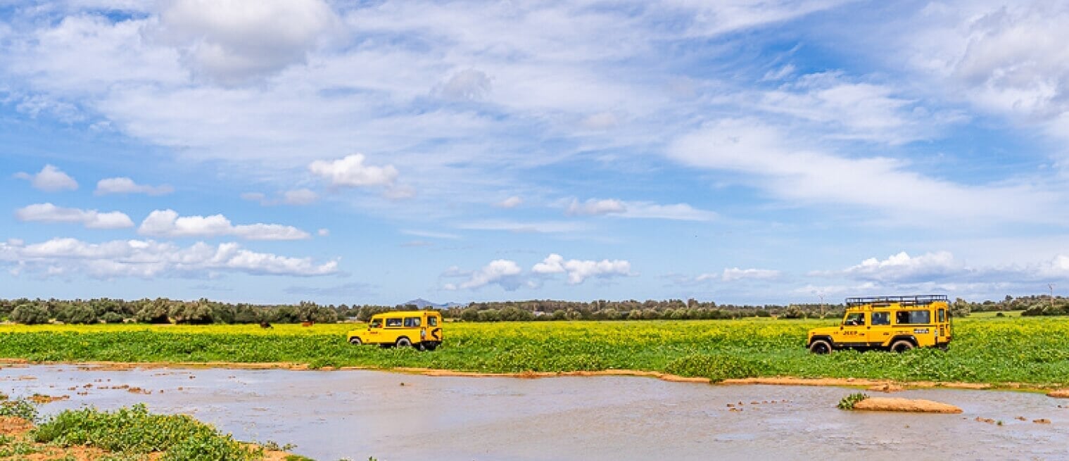excursión en jeep en mallorca
