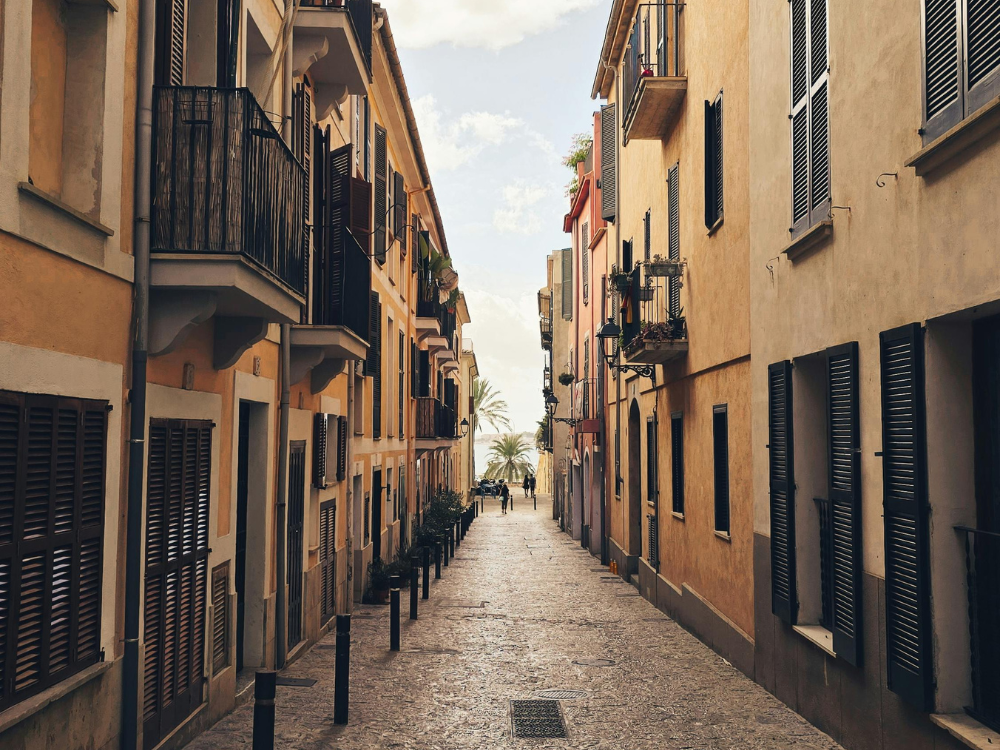 palma city xperience