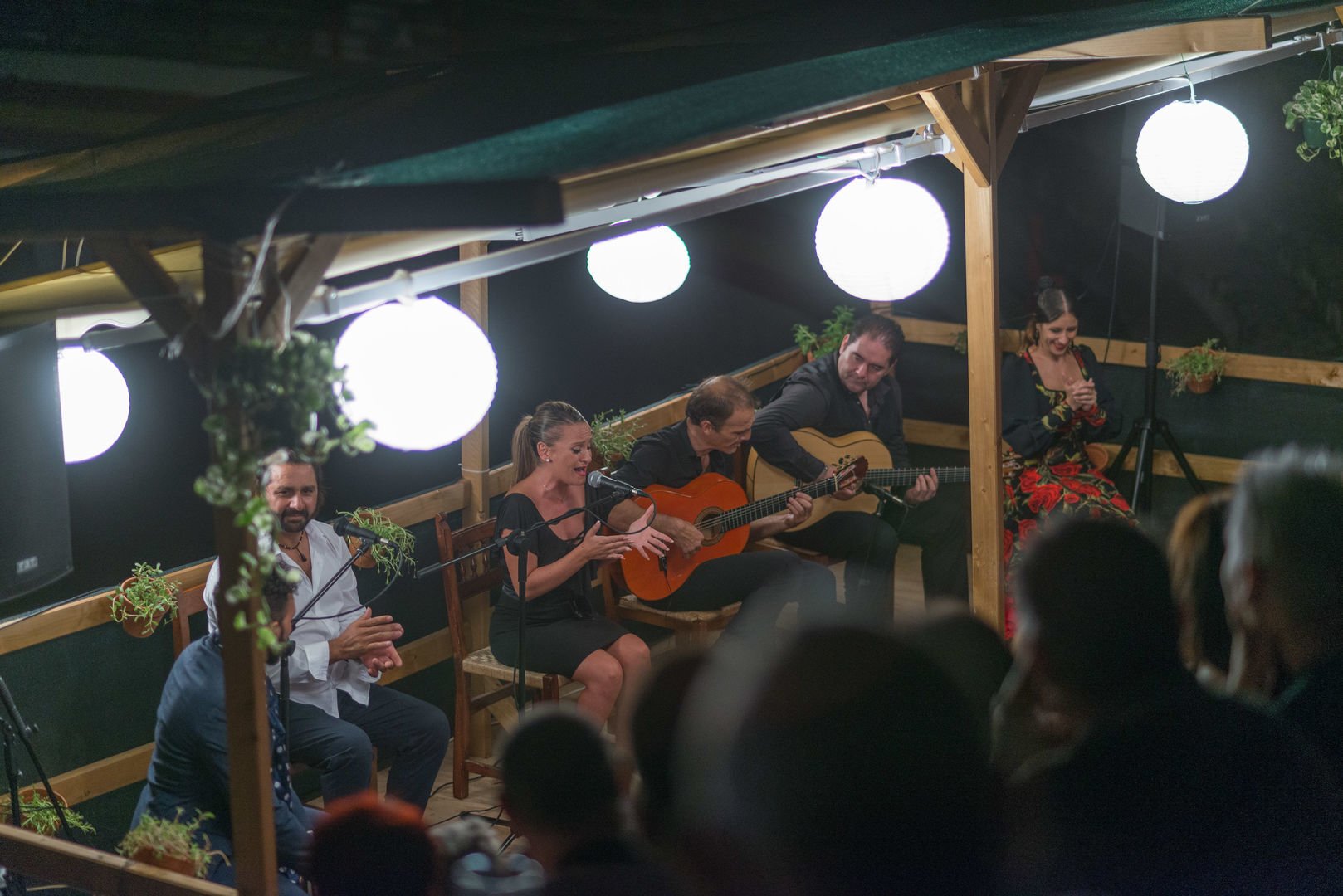 Noche en el flamenco