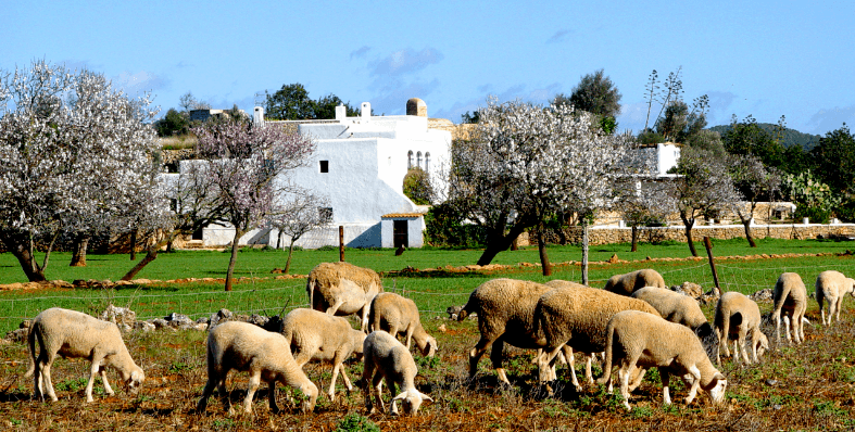 descubriendo la isla