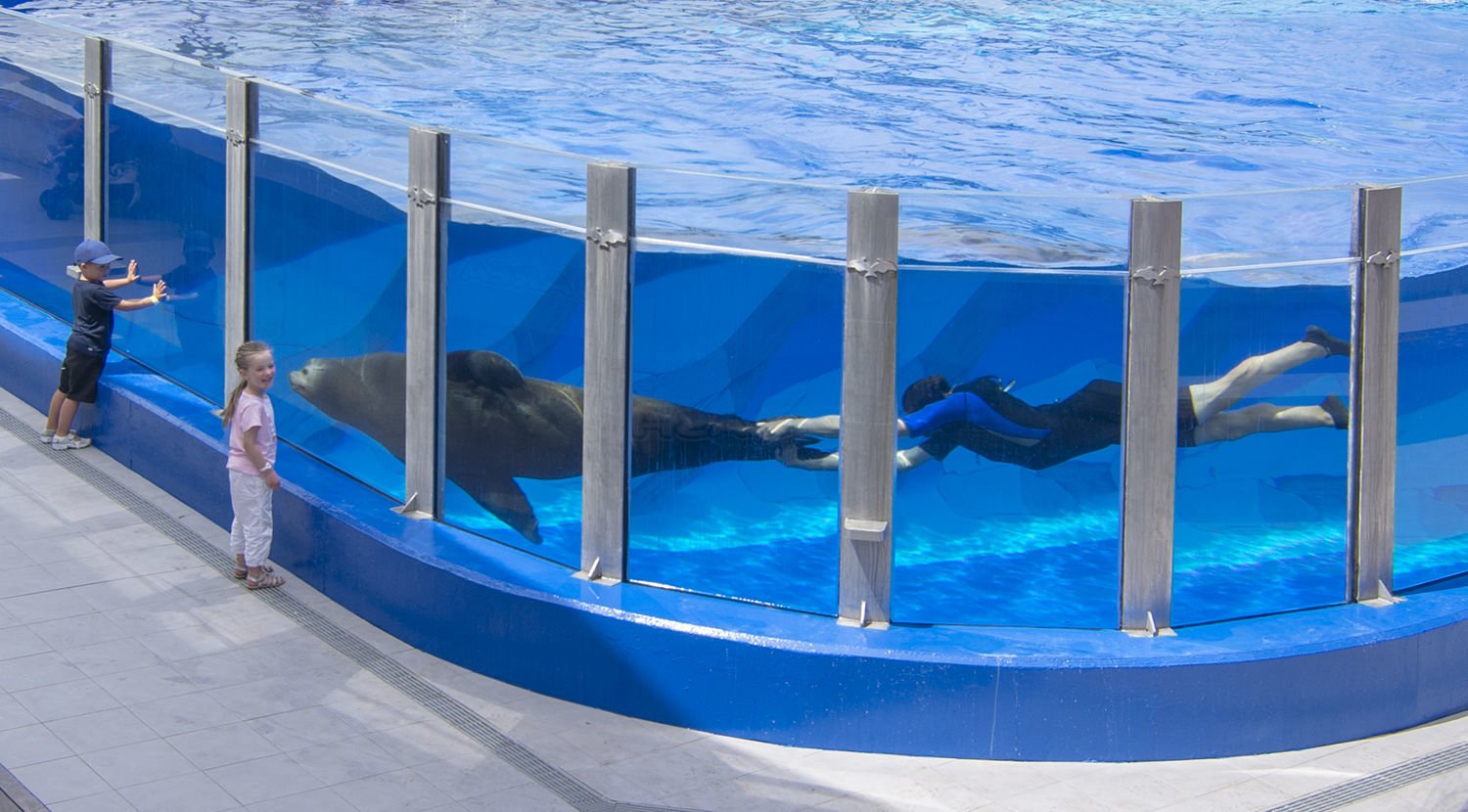 delfines en marineland