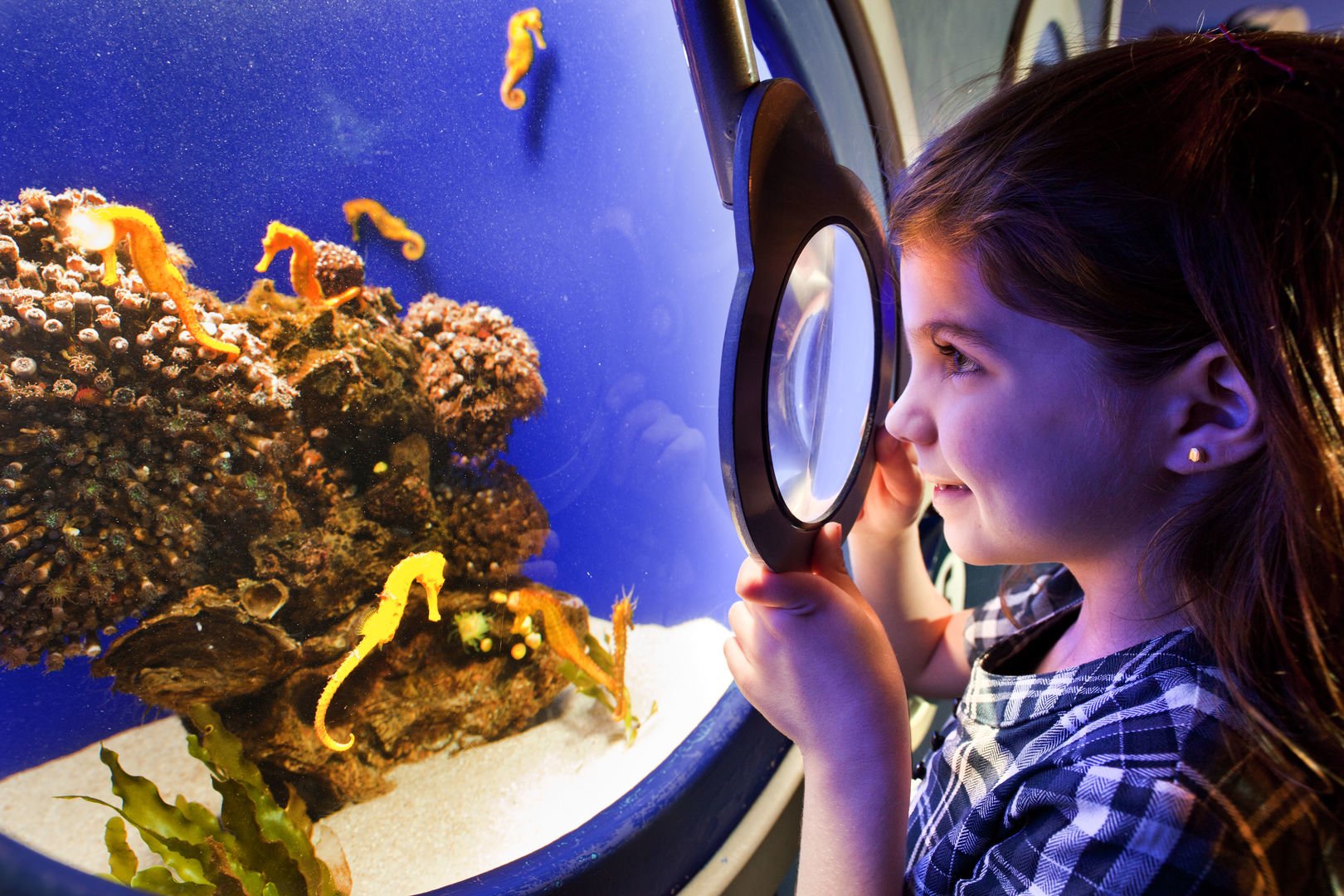 diversion para niños