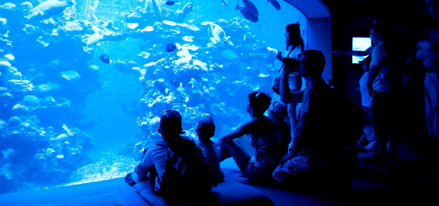 excursiones en mallorca