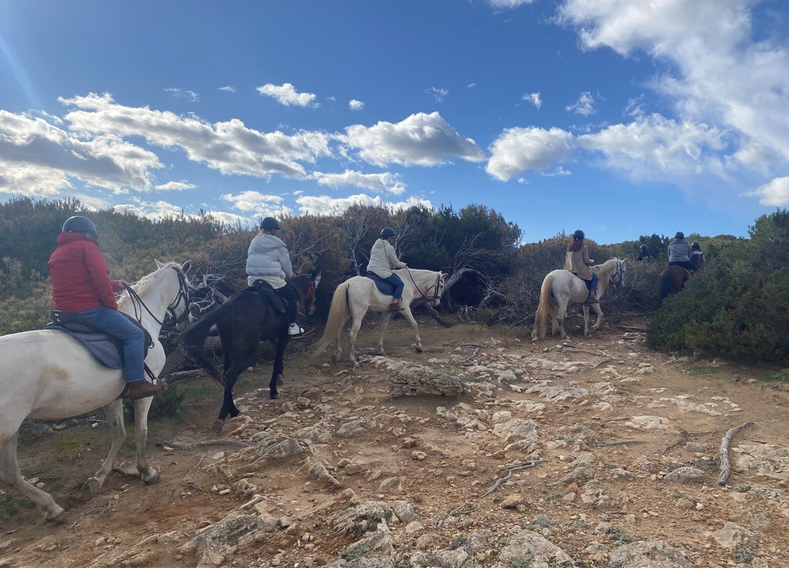 Excursión a caballo en click-mallorca