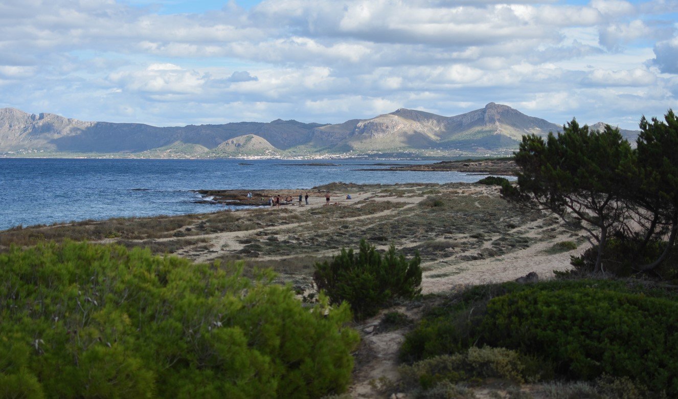 cabalgando en las dunas de la playa de Son Real