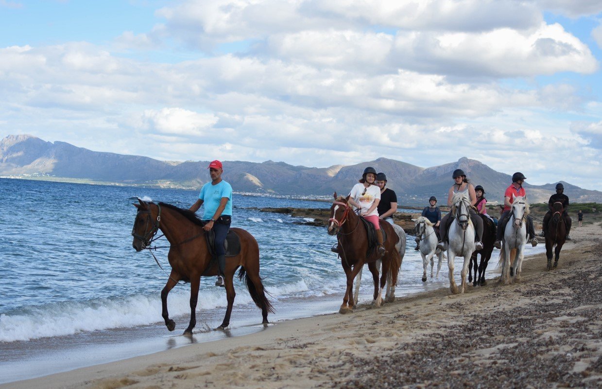 caballos en mallorca en la playa
