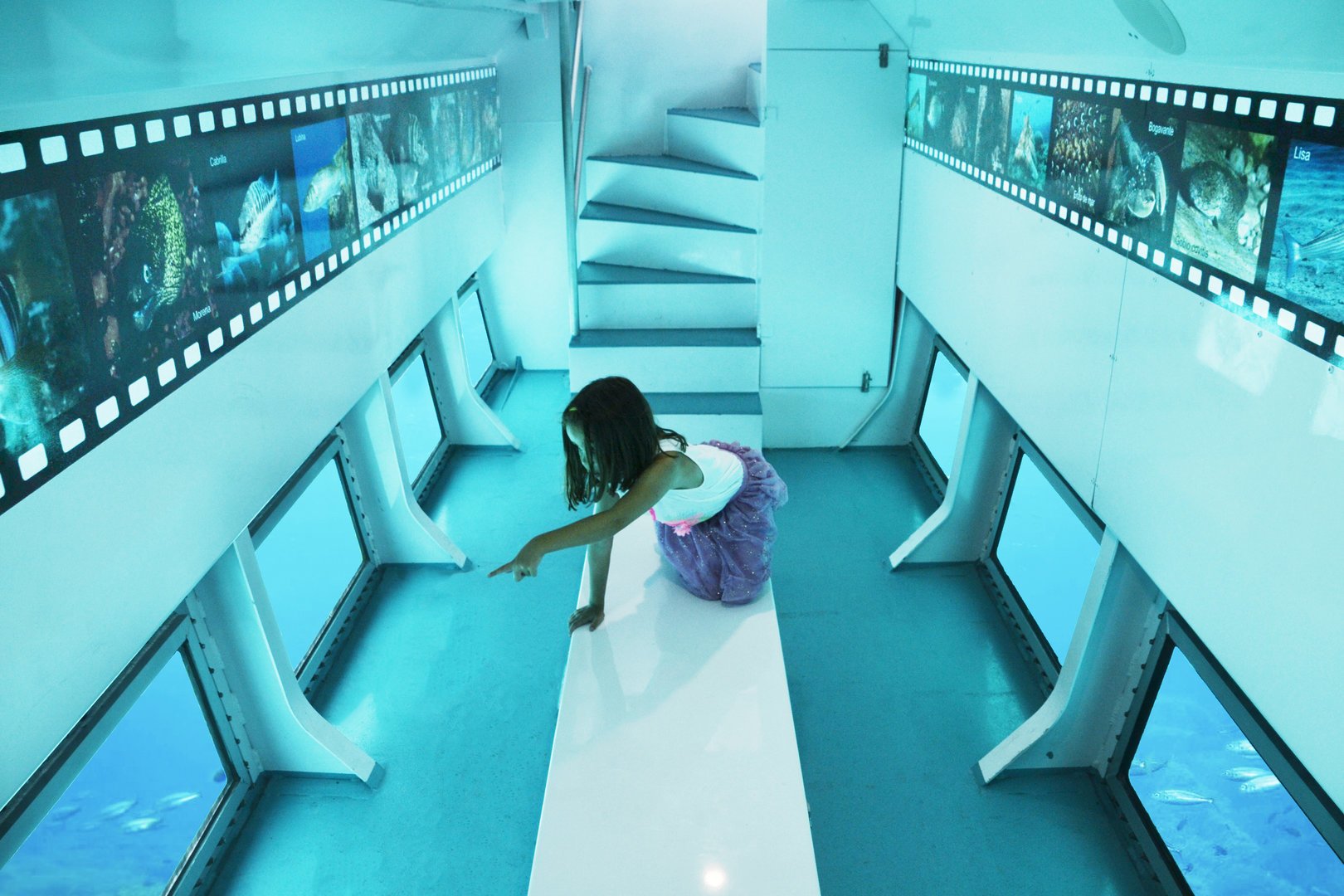 submarine vision vistas