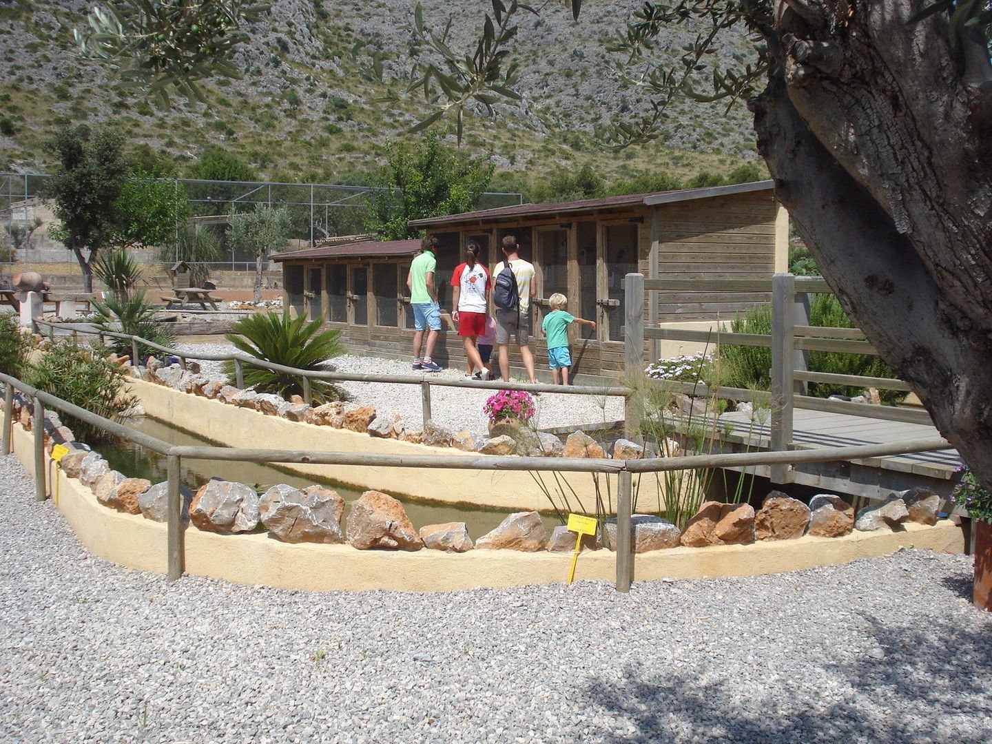 Familia disfrutando paseo en Rancho