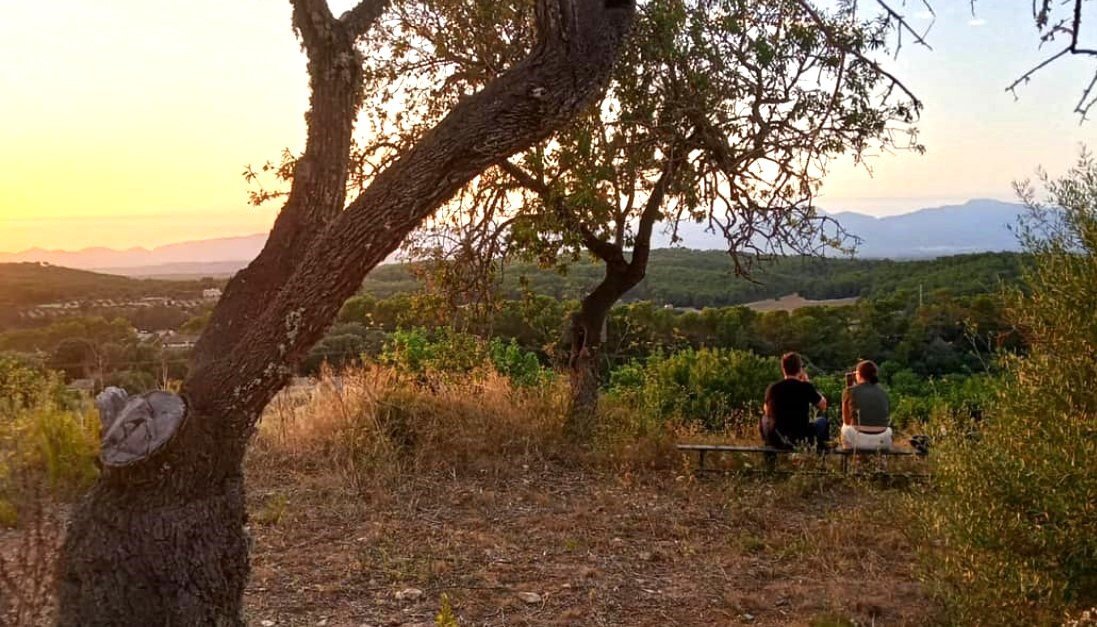 atardecer en la ruta a caballo