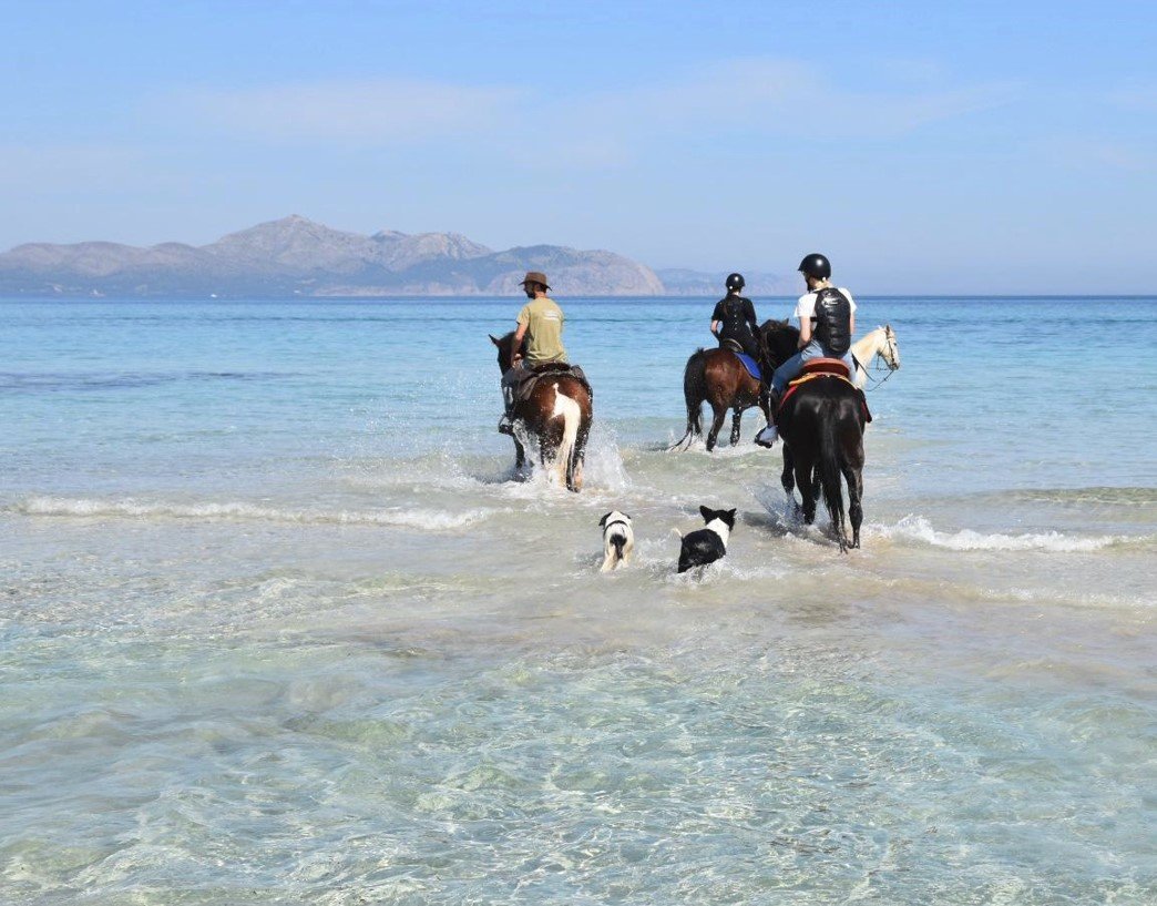 ruta caballo playas virgenes mallorca