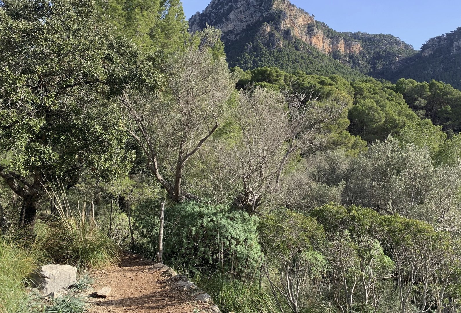 ruta senderismo en valldemossa
