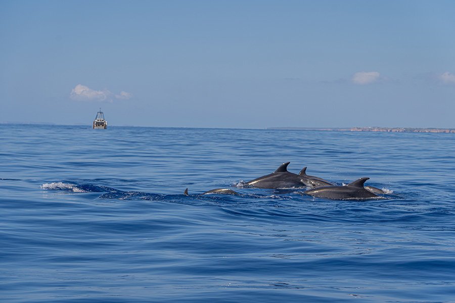 parada para bañarse