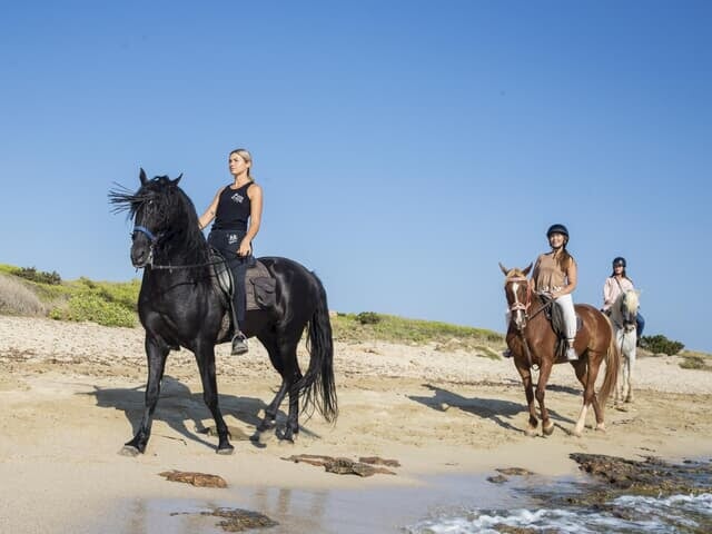 Excursiones y actividades - Paseo a caballo por la playa en Mallorca