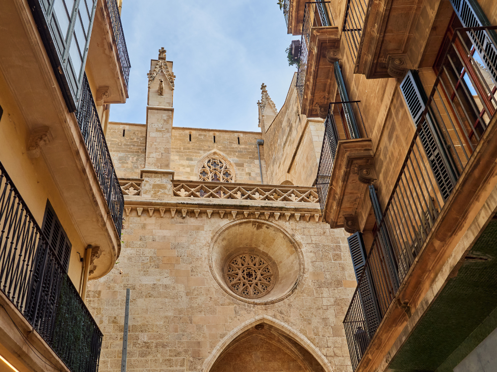 palma cathedral